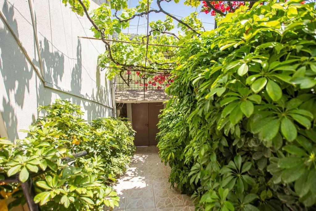 Appartamento Blue Maraci 2 - Sea View, Kitchen, Beach Access Himare Esterno foto